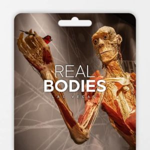 Real Bodies: A Journey Through the Human Experience – Gift Card at Horseshoe Las Vegas, Las Vegas, United States Lizp.com Special Offers, Deals & Discounts in USA