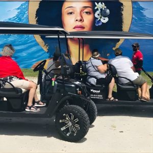 Small-Group Brewery Golf Cart Tour of Wynwood with a Local Guide at 413 NW 27th St, Miami, United States Lizp.com Special Offers, Deals & Discounts in USA